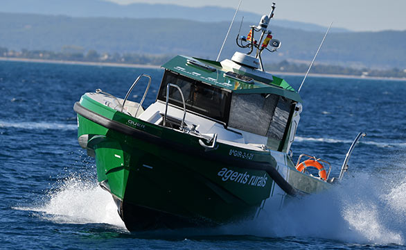 foto-quer-explorer-35-1